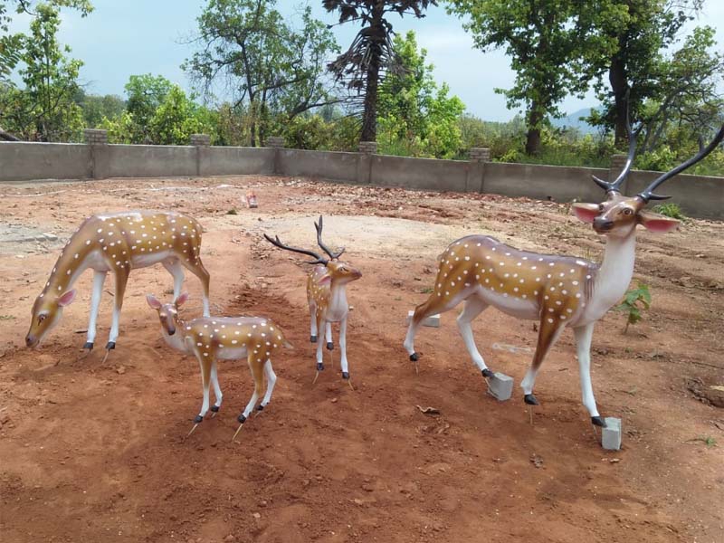 DEER FAMILY